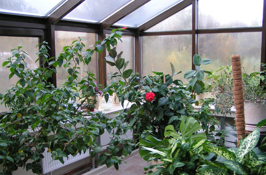 Теплосберегающие стекла надежно защитят зимний сад от непогоды