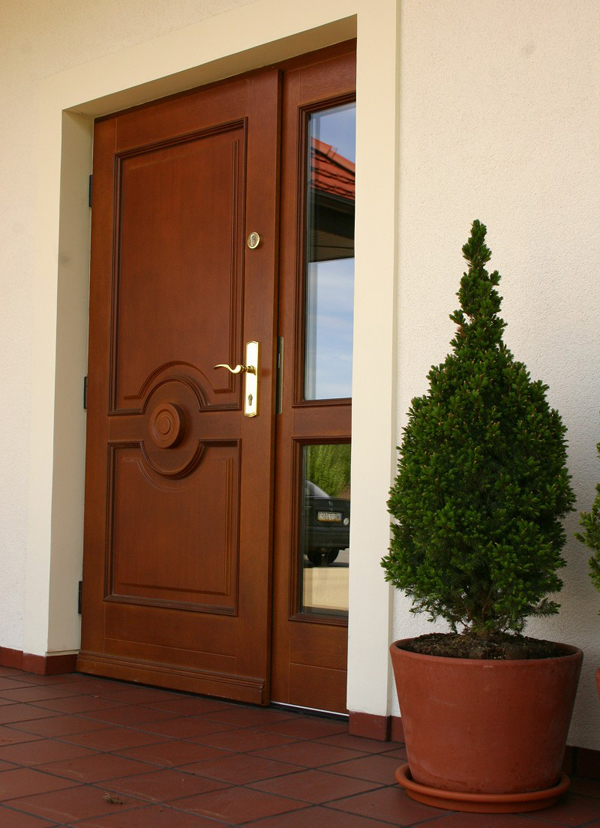 Входные двери: разновидности дверей, выбор материала и установка дверей