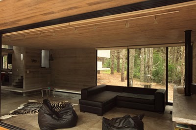 Царство дерева и стекла: необычный деревянный дом в Буэнос-Айресе