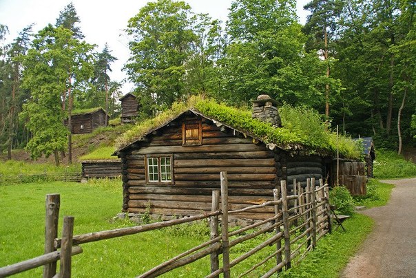 Дома с травой на крыше, фото травяных крыш