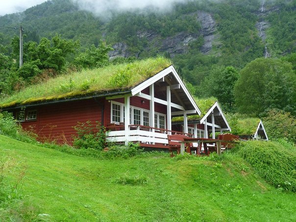 Дома с травой на крыше, фото травяных крыш